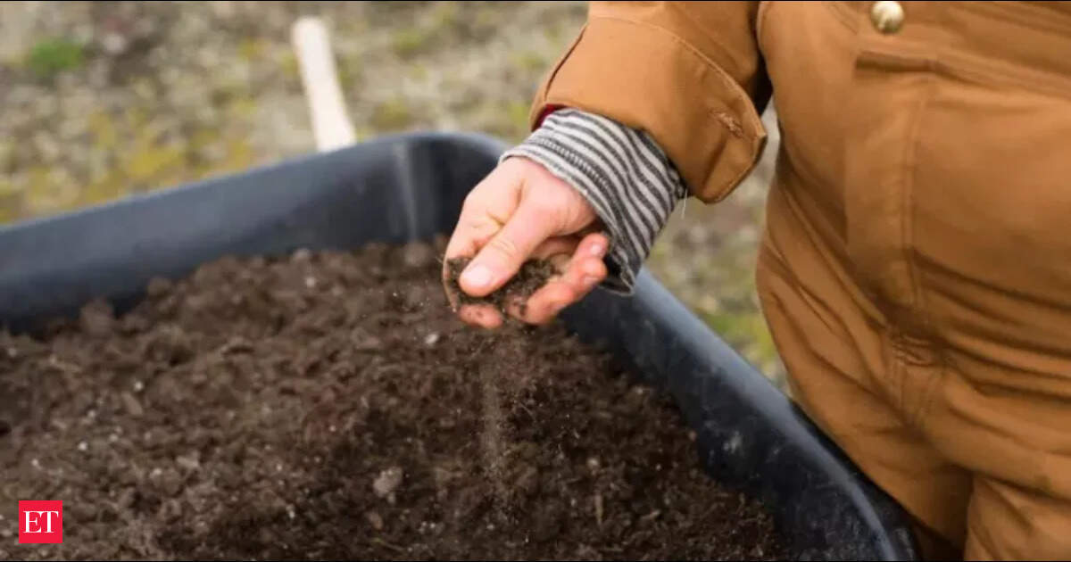 For thousands of years, Pacific farmers adapted crops to drought and changing weather; now Samoa and Tonga are combining that ancestral knowledge with modern science to rebuild ...
